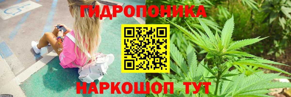 Великий Новгород  Канабис ГИДРОПОН  Вход с VPN  Канабис AK-47  Конопля сатива 